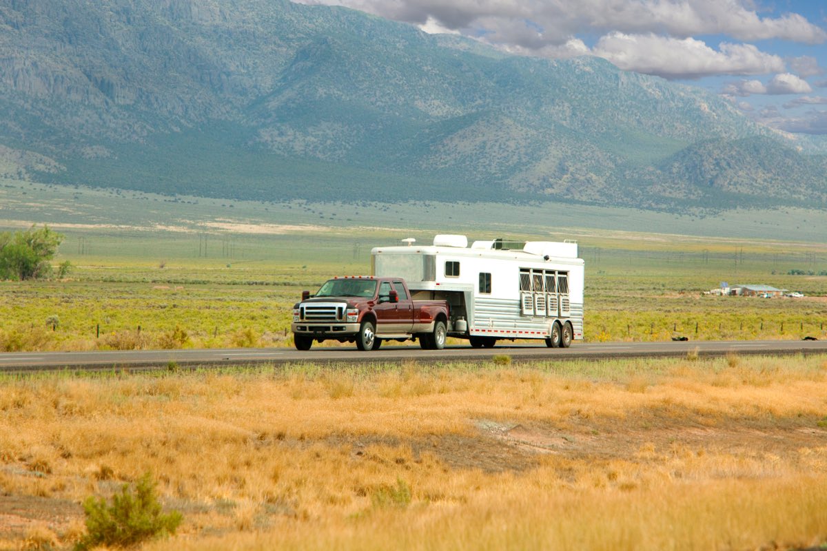 Understanding Livestock Trailer Transport